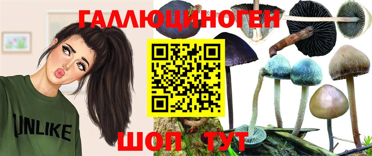 Москва  Галлюциногенные грибы Psilocybe  Вход с VPN 